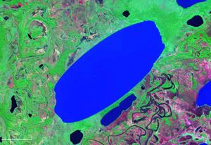 Rogagua Lake httpsuploadwikimediaorgwikipediacommonsthu