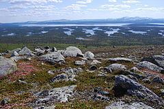 Rogen Nature Reserve httpsuploadwikimediaorgwikipediacommonsthu