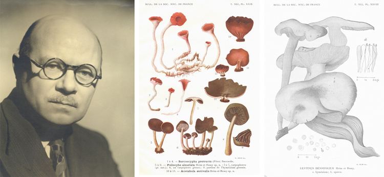 Roger Heim Inventaires de la biodiversit 19001930 Jardin Alpin
