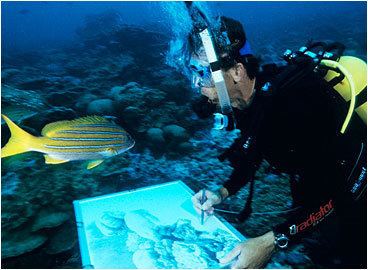 Roger Swainston Roger Swainston Underwater Art