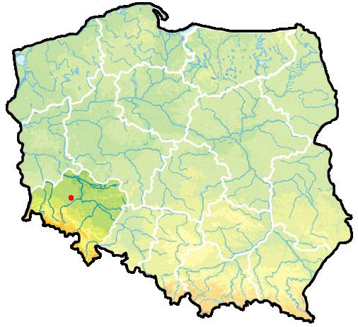 Rokitki, Lower Silesian Voivodeship