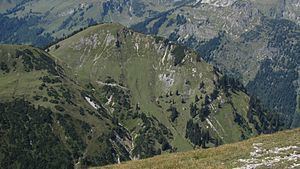 Roßkopf (Allgäu Alps) httpsuploadwikimediaorgwikipediacommonsthu