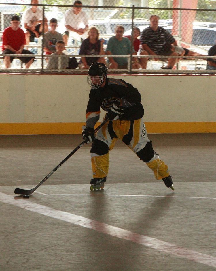 Roller in-line hockey