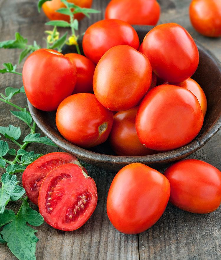 Roma tomato Heinz Super Roma Tomato Lycopene Rich Adaptable Grower