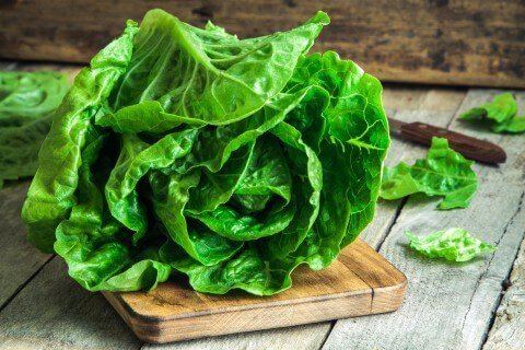 Romaine lettuce Romaine Lettuce Nutrition Benefits amp Recipes Dr Axe