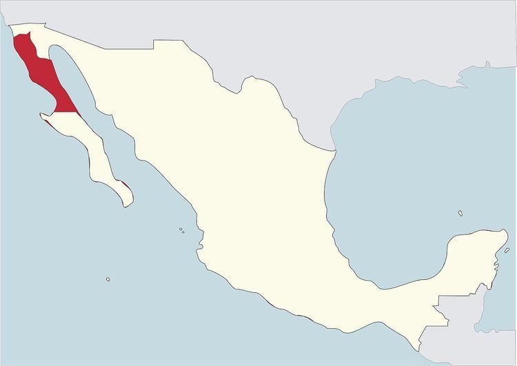 Roman Catholic Diocese of Ensenada