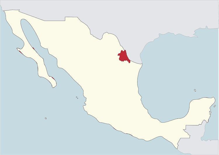 Roman Catholic Diocese of Nuevo Laredo