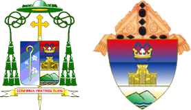 Roman Catholic Diocese of Parañaque ROMAN CATHOLIC DIOCESE OF PARAAQUE