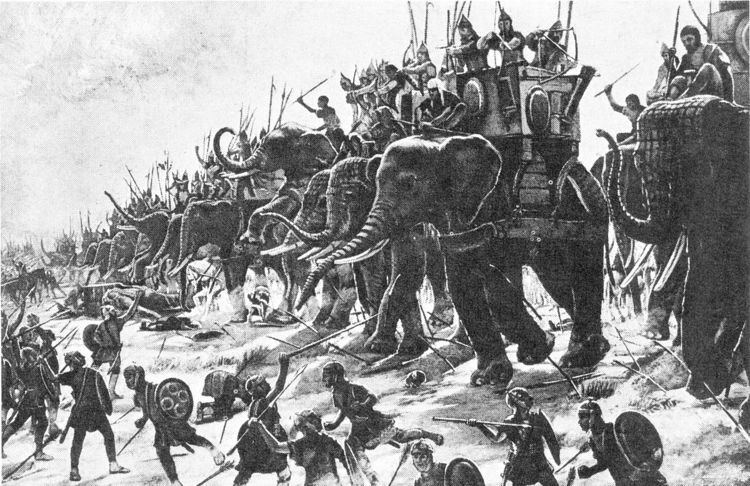 Roman war elephants
