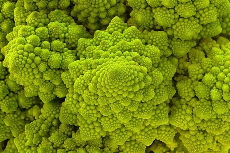 Romanesco broccoli Fractal Food