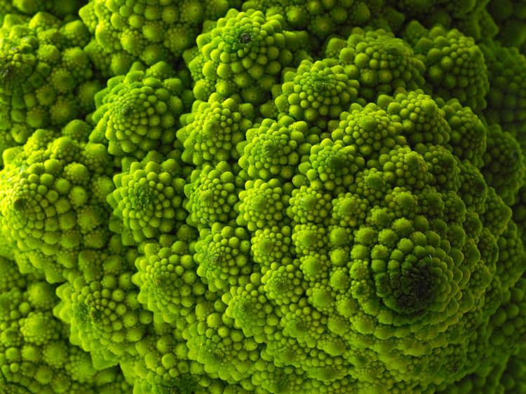 Romanesco broccoli Romanesco BroccoliCauliflower Brassica Oleracea Flickr