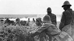 Romanian armies in the Battle of Stalingrad httpsuploadwikimediaorgwikipediacommonsthu