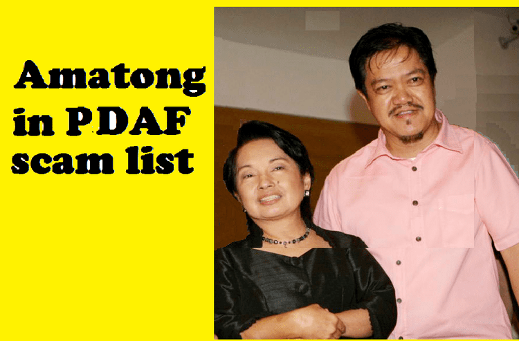 Rommel Amatong ComVal Rep Rommel Amatong in PDAF scam list THE DURIAN POST BY
