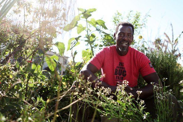 Ron Finley Urban Gardening An Appleseed With Attitude The New York