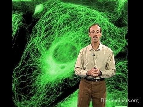 Ronald Vale Ron Vale UCSF Part 1 Introduction to Motor Proteins