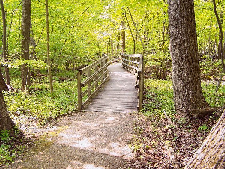 Rondeau Provincial Park - Alchetron, the free social encyclopedia