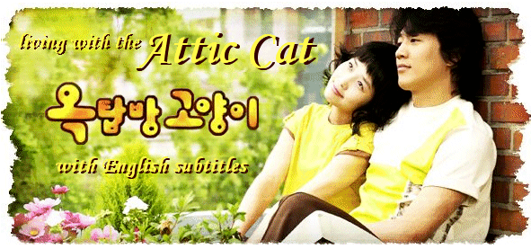Rooftop Room Cat Korean Drama Attic Cat Cat in a Rooftop Room Cats on the Roof
