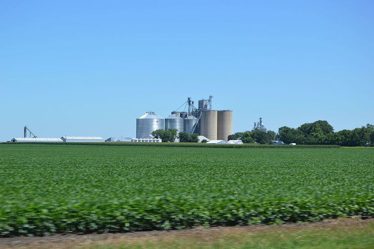 Rooks Creek Township, Livingston County, Illinois