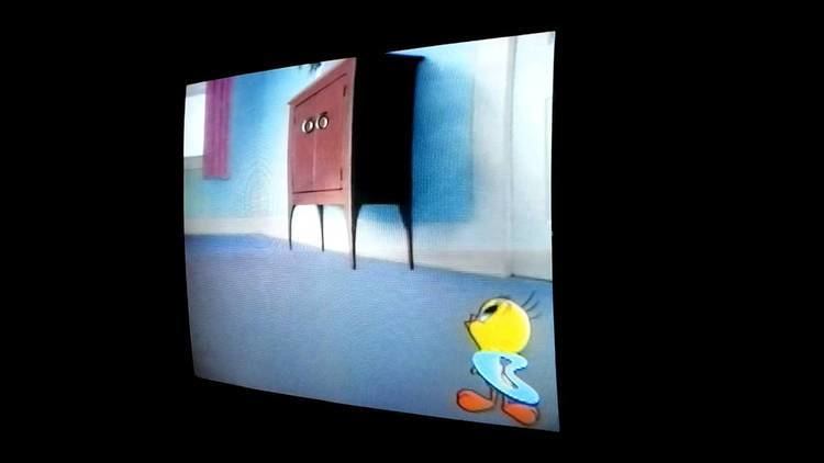 Room and Bird Looney tunes cartoon of room and Bird video YouTube