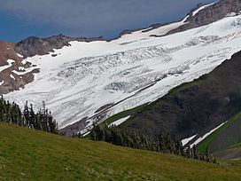 Roosevelt Glacier httpsuploadwikimediaorgwikipediacommonsthu