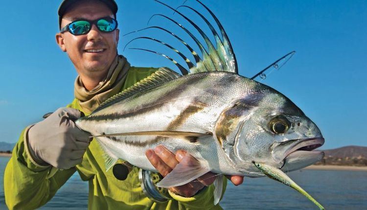 Roosterfish Catching Roosterfish on Fly Salt Water Sportsman