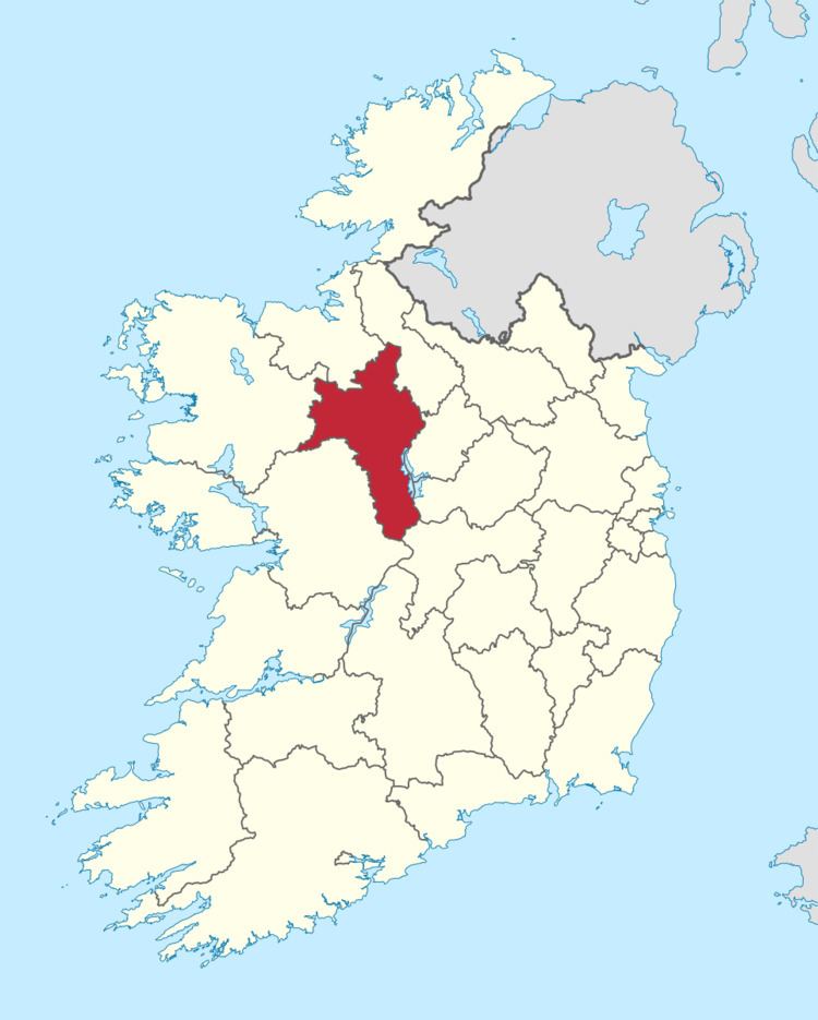 Roscommon County Council election, 2009