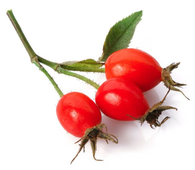 Rose hip The skin care benefits of rosehip oil