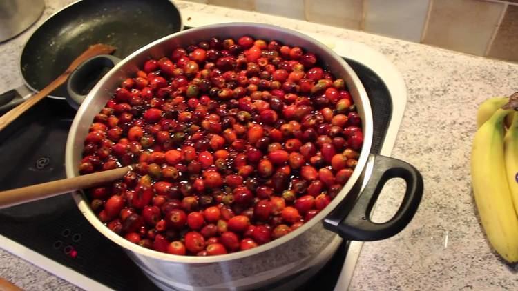Rose hip soup Crafting Making rosehip soup YouTube