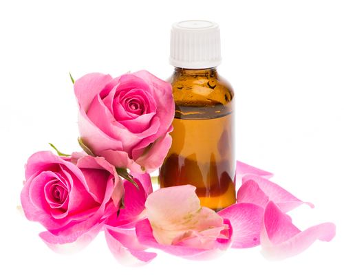 Rose oil Rose Oil Healing benefits Healthyliving from Nature Buy Online
