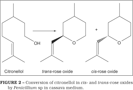 Rose oxide Biotransformation of citronellol in roseoxide using cassava