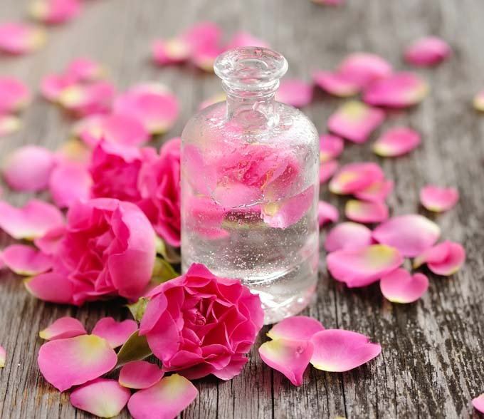 Rose water Is Rose Water Good for Your Locs Dr Locs