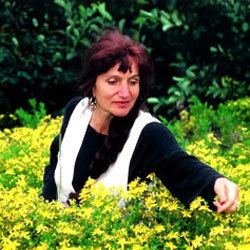 Rosemary Gladstar Wise Woman Weblog Rosemary Gladstar Becoming an Herbalist