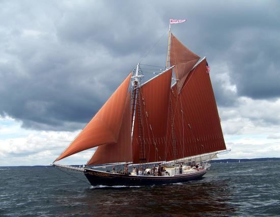 Roseway Schooner Roseway Picture of Schooner Roseway Boston TripAdvisor