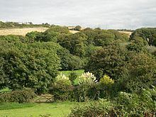 Roseworthy, Cornwall httpsuploadwikimediaorgwikipediacommonsthu