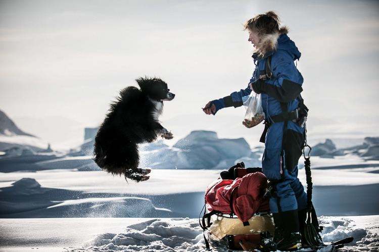 Rosie Stancer Rosie Stancer British Explorer and Polar Adventurer Projects