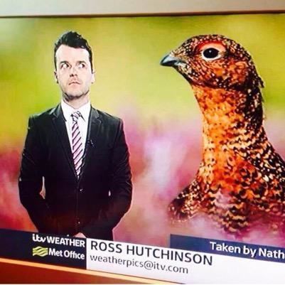 Ross Hutchinson Ross Hutchinson RossHutchinson Twitter