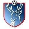Rossendale United F.C. httpsuploadwikimediaorgwikipediaenffaRos