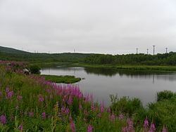 Rosta River httpsuploadwikimediaorgwikipediacommonsthu