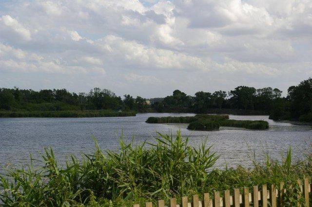 Roswell Pits