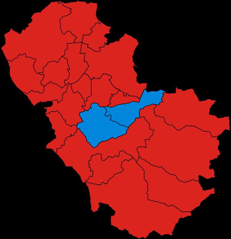 Rotherham Metropolitan Borough Council election, 2010