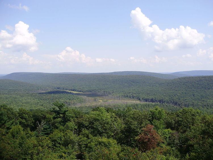 Rothrock State Forest