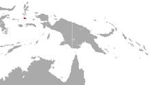 Rothschild's cuscus httpsuploadwikimediaorgwikipediacommonsthu