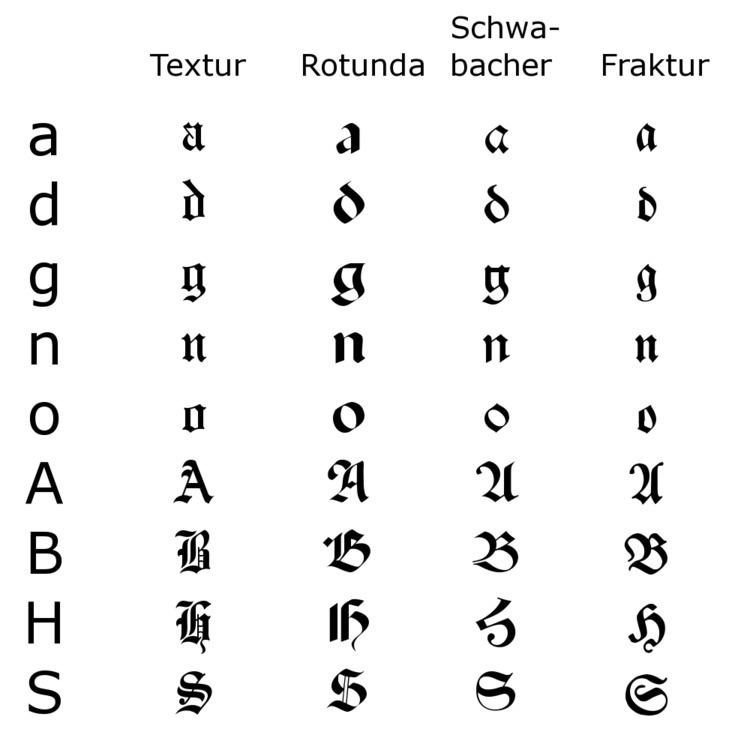 Rotunda (script)