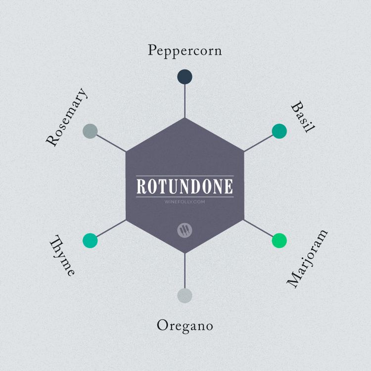 Rotundone Where Wine Flavors Come From The Science of Wine Aromas Wine Folly