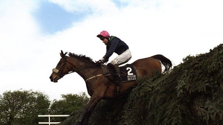 Rough Quest Mick Fitzgerald remembers Rough Quest after death of Grand National