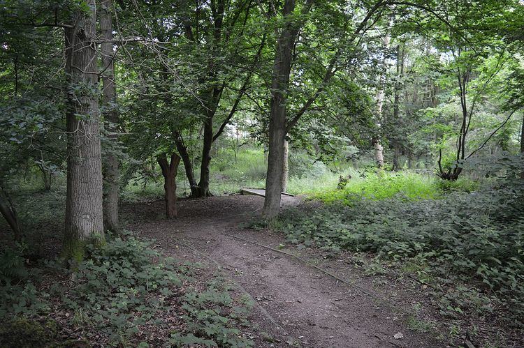 Roughtalley's Wood