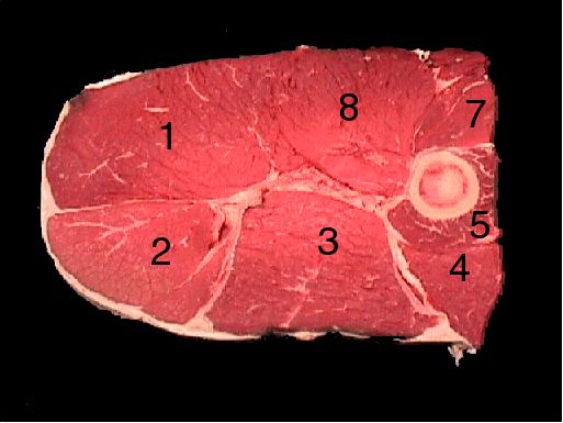 Round steak Beef Round Steak Meat Science