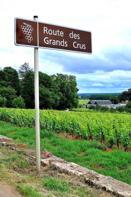 Route des Grands Crus Route des Grands Crus Burgundy Tasting Rooms Gastronomy