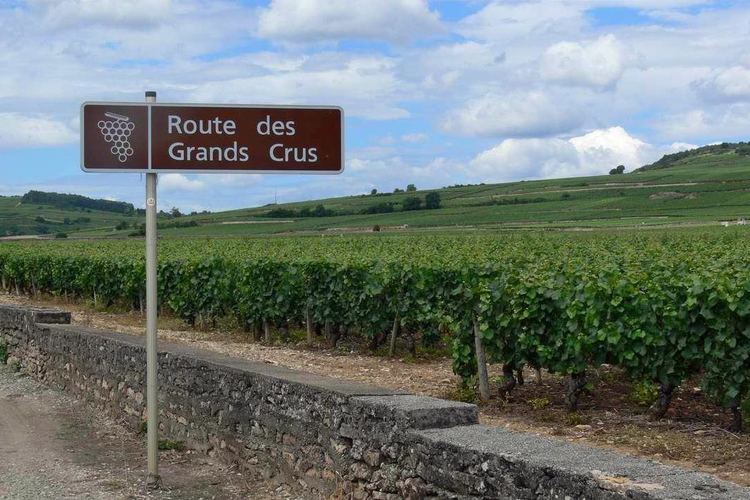 Route des Grands Crus CRUISING THE ROUTE DES GRANDS CRUS KIM39S GAP YEAR