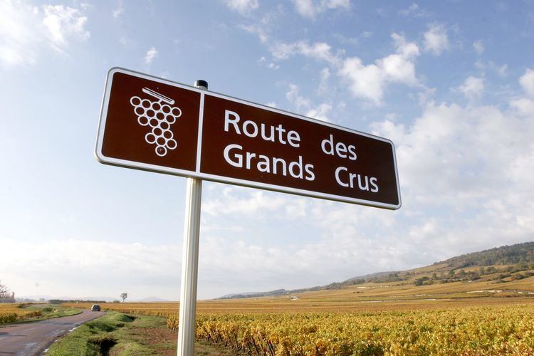 Route des Grands Crus wwwbeaunetourismcomsitesotbeaunefilesstyle